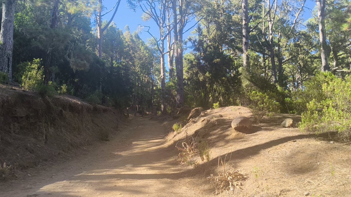 ElAltavozR's tweet photo. Monte de La Esperanza, El Acebiñal https://t.co/TlHHvaEi93
