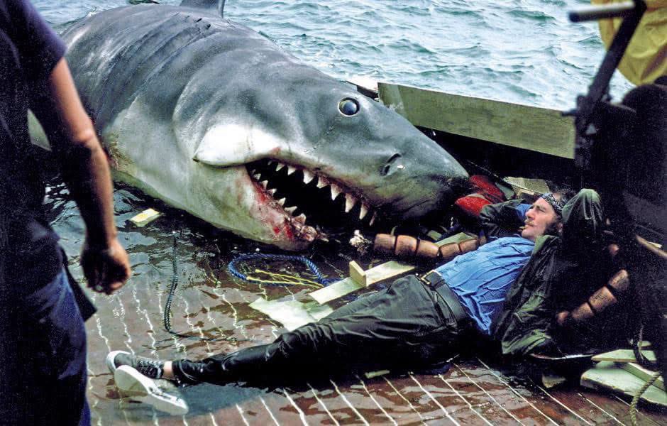 FilmKid68's tweet photo. JAWS. https://t.co/pEvHOM0uAW