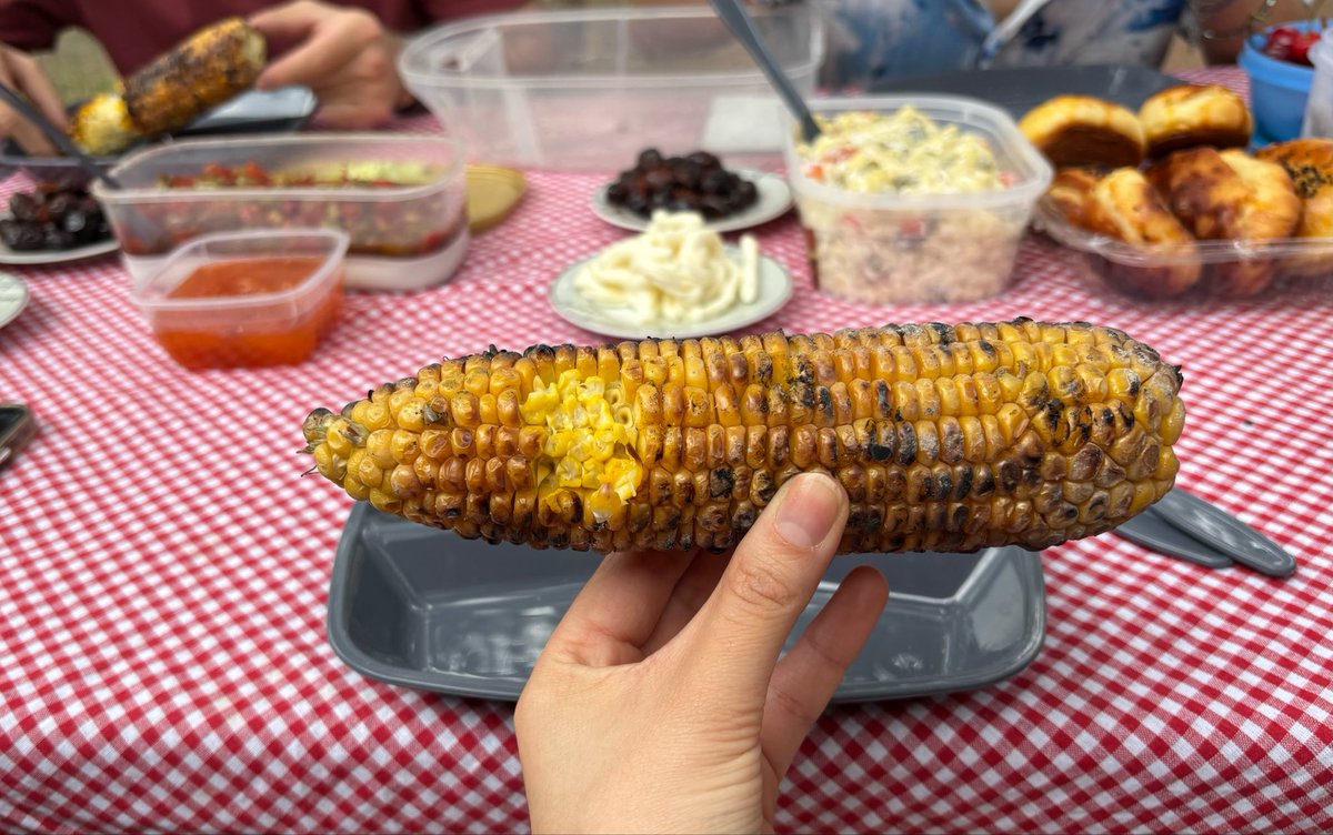 28semacelebi's tweet photo. en en guzel piknik!!! topa da ben coktum 😜 (zaten kimse istememisti) https://t.co/Xbymhj0Kkd