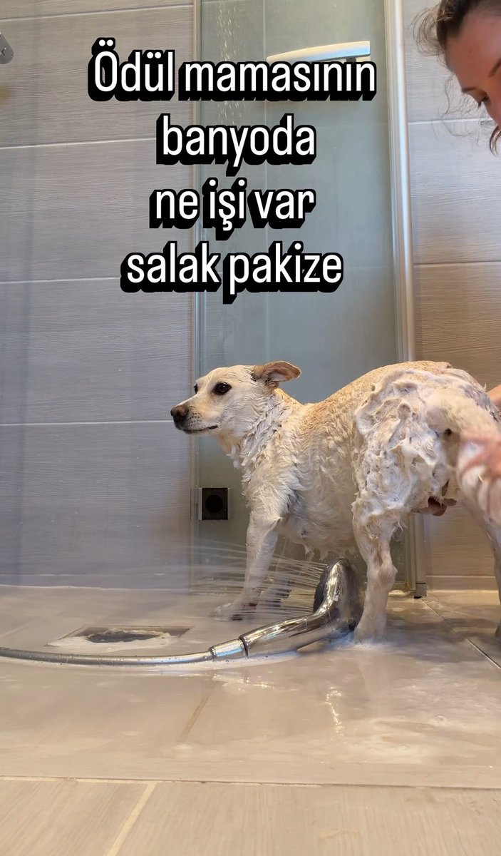 Fulca tweet media