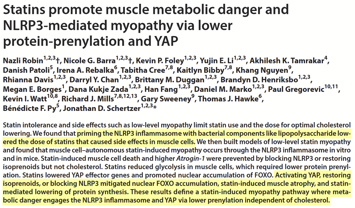SatchinPanda's tweet photo. Statin's adverse effects on muscle may be driven by inflammation—not just cholesterol lowering.
This research shows statins can trigger the NLRP3 inflammasome in muscle cells, leading to atrophy, reduced protein synthesis, and cell death via disrupted isoprenoid/prenylation pathways. Blocking NLRP3 or restoring isoprenoids prevented these effects, identifying a potential target to reduce statin-associated myopathy. #Statins #MuscleHealth #Inflammation #AgingResearch
https://t.co/J480WYiq9E