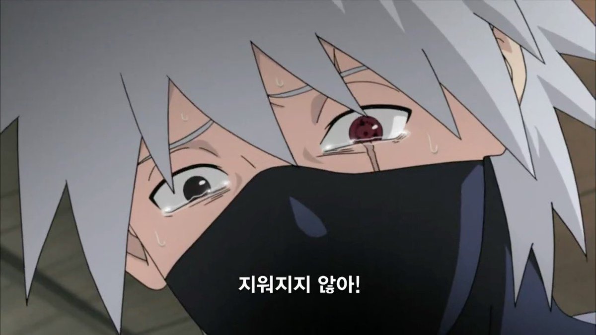 배추 tweet media