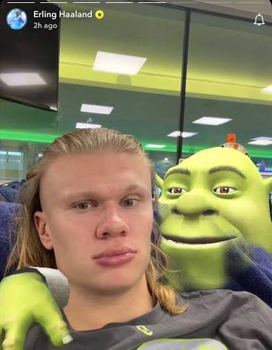 strwb_luli's tweet photo. @RicciuP Le es infiel a su mujer con Shrek https://t.co/6du2183Yxa