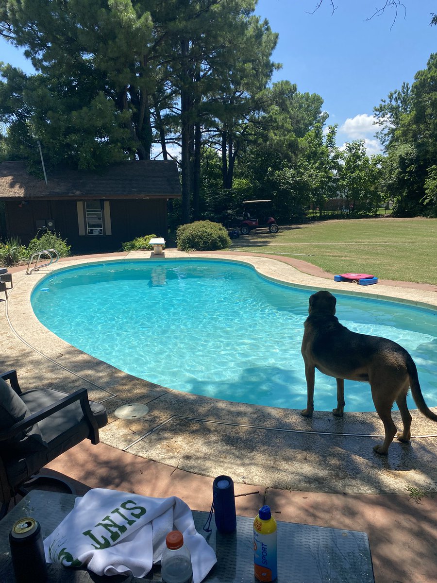 t_ray7175's tweet photo. Pool day with the OU Golf Cart for luck and listening to @TRowOU!! What a day!! LFG!! BOOMER!! https://t.co/IntYjrLcdj