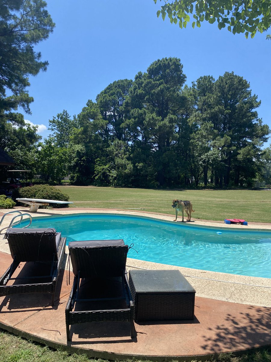 t_ray7175's tweet photo. Pool day with the OU Golf Cart for luck and listening to @TRowOU!! What a day!! LFG!! BOOMER!! https://t.co/IntYjrLcdj