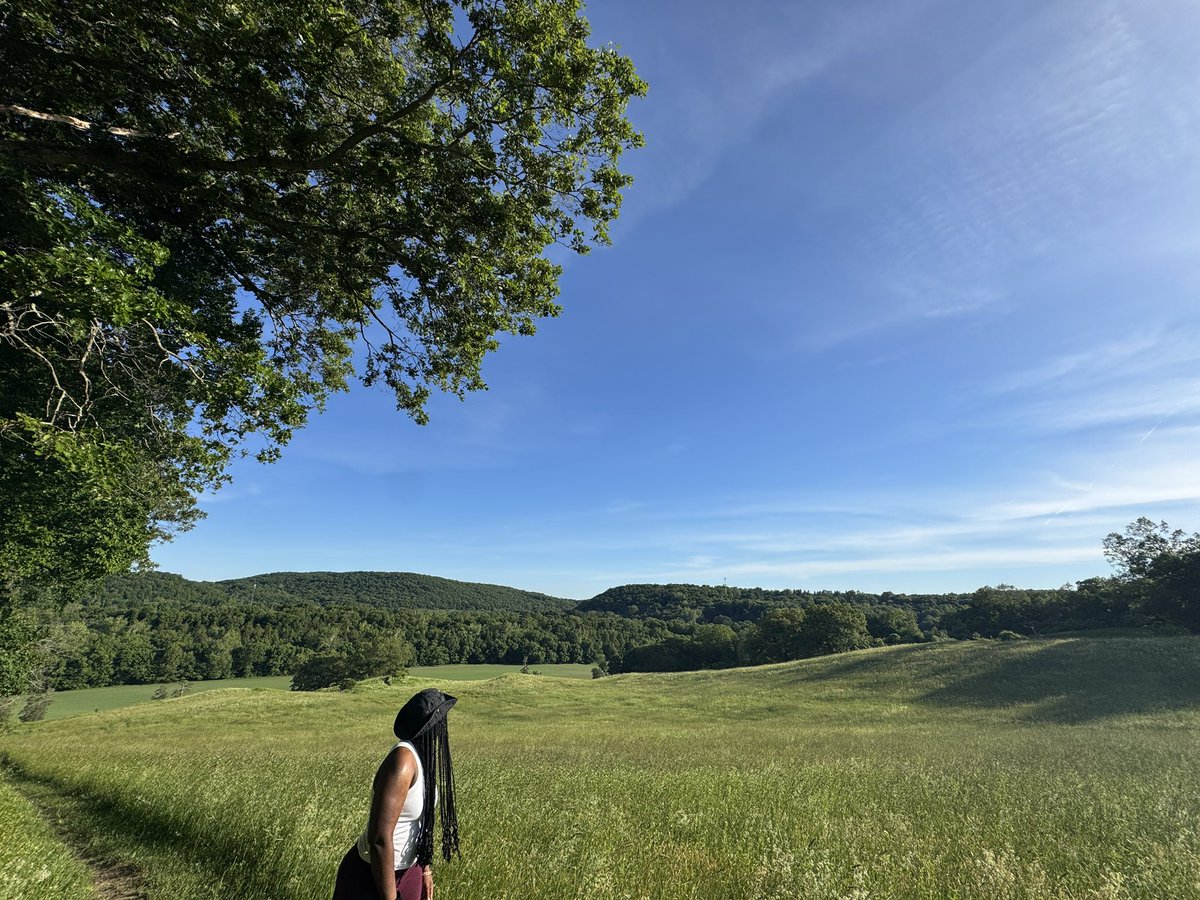leelabyrinth's tweet photo. summer so far https://t.co/Mfy2x2tmSP