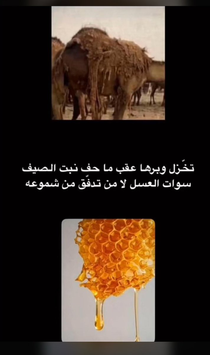 bader8ii's tweet photo. تشبيه بليغ وجميل جدا https://t.co/fpMV04I98S