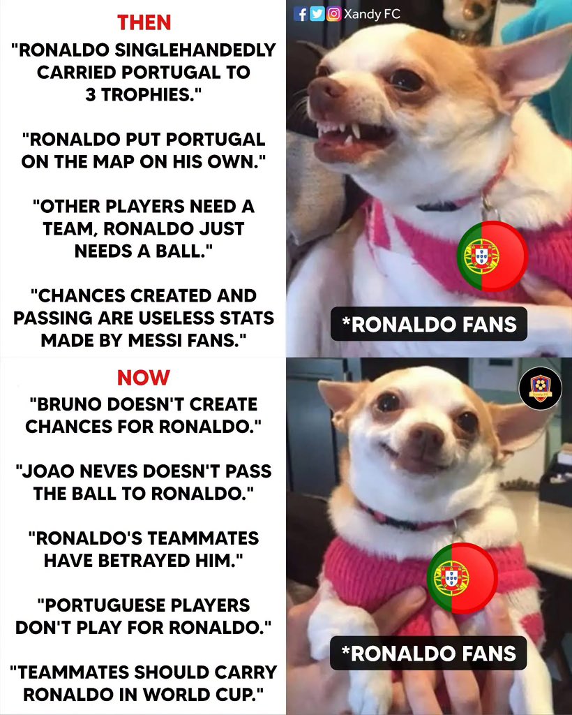 PenaldoTroll's tweet photo. The 2 sides of this brainless fanbase 🤣 https://t.co/CoasWSb5f5