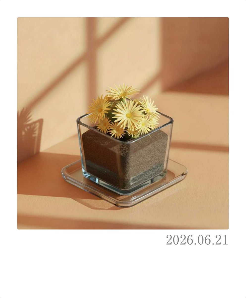 mio_spr's tweet photo. #PixelPot
リトープスが育ったよ！ https://t.co/VvcOqsX6kY