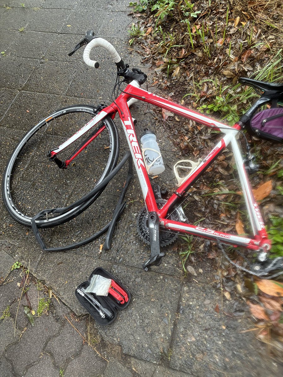 YubYt7's tweet photo. おはようございます☂️
ノコノコ出てきてパンク、落木、猪ニアミス🥶
サイコン電池もなくなりそう。帰ろう https://t.co/sV14S0jWqk
