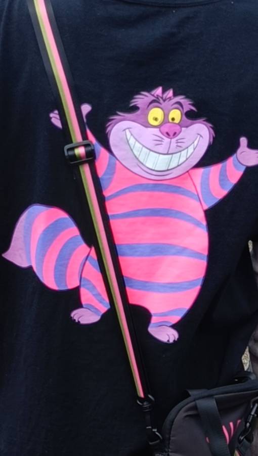 tonarinomayu's tweet photo. 今日はチェシャ猫Tシャツでウォーキング🚶
ランニング勢多し🏃
海が荒れていた🌊
霧のタワマン。
#千葉市 #検見川浜 #海浜幕張 #ALTR #花見川サイクリングコース #海 https://t.co/FA4qZFNfxp