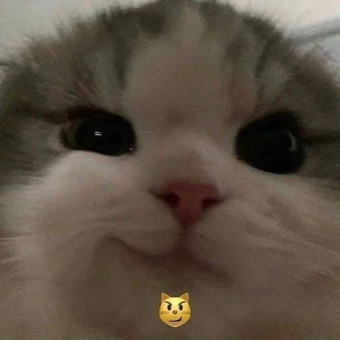 waynottttt's tweet photo. @elaschmelaa würd noch nen Paar Pilze extra dazu geben . Dann geht das klar 😊😂 https://t.co/73wAJl0TYL