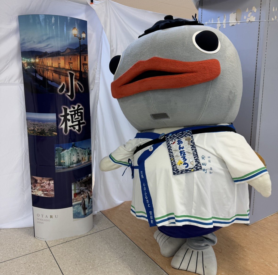 yasudaantarou's tweet photo. 日ようびのおはよう〜☀️

今日のあんたろうちゃんはしっかり起きて〜しっかり食べて〜、るんるんで小樽におります〜❣️ https://t.co/Vejqwb685s