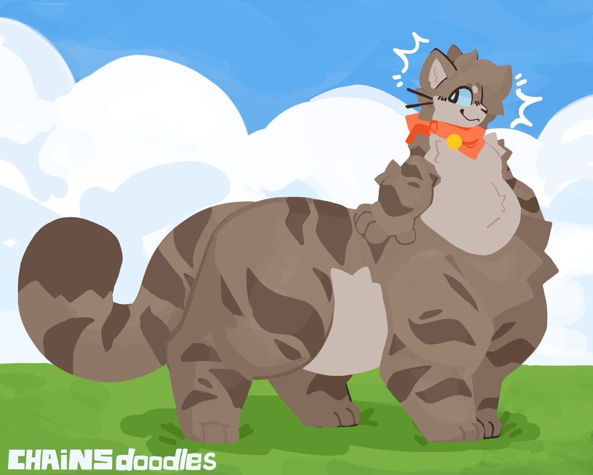 Chainsdoodles's tweet photo. outdoorsy cat https://t.co/fku4D5zZMH