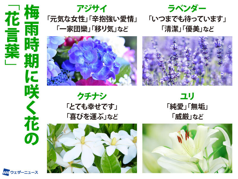 ウェザーニュース tweet media