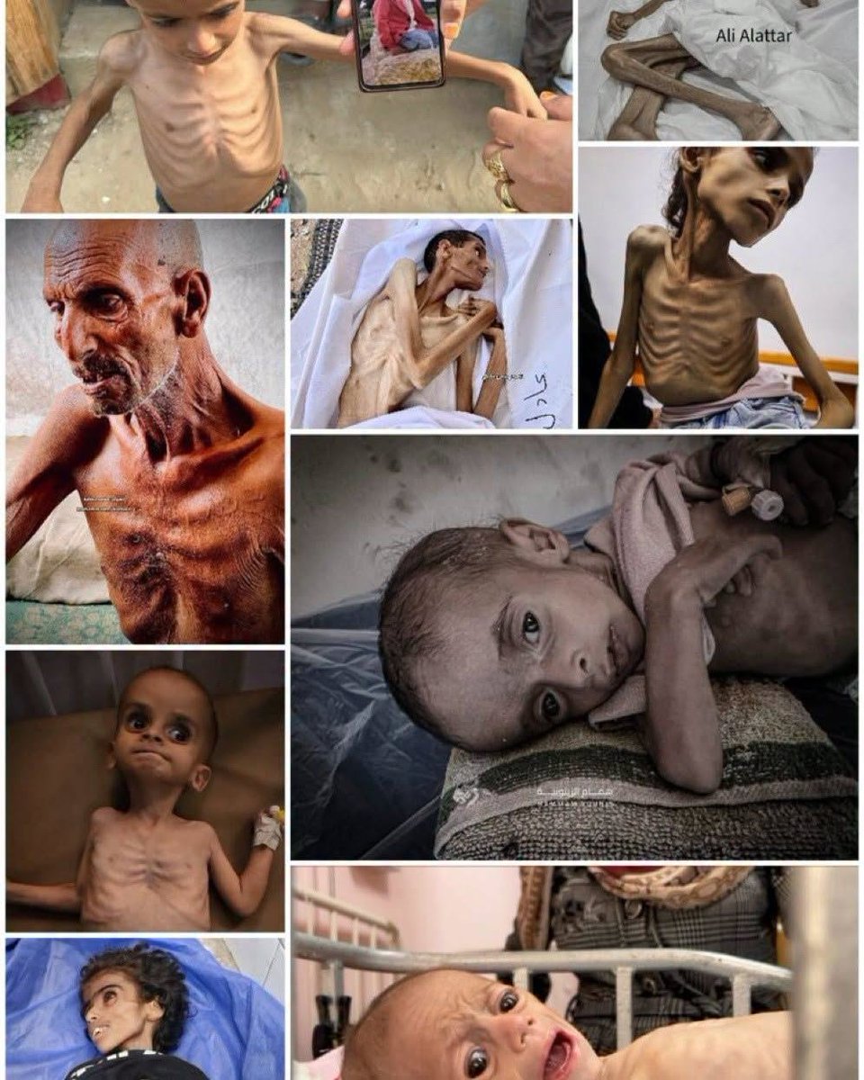 GerberSigi's tweet photo. @MagicFlower22 This is what is evil !! https://t.co/otLaVGJaOR