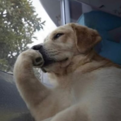 officialrod21's tweet photo. #NewProfilePic https://t.co/fwfmqbLjZd
