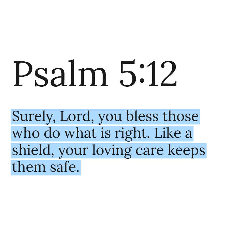 Holy Bible tweet media