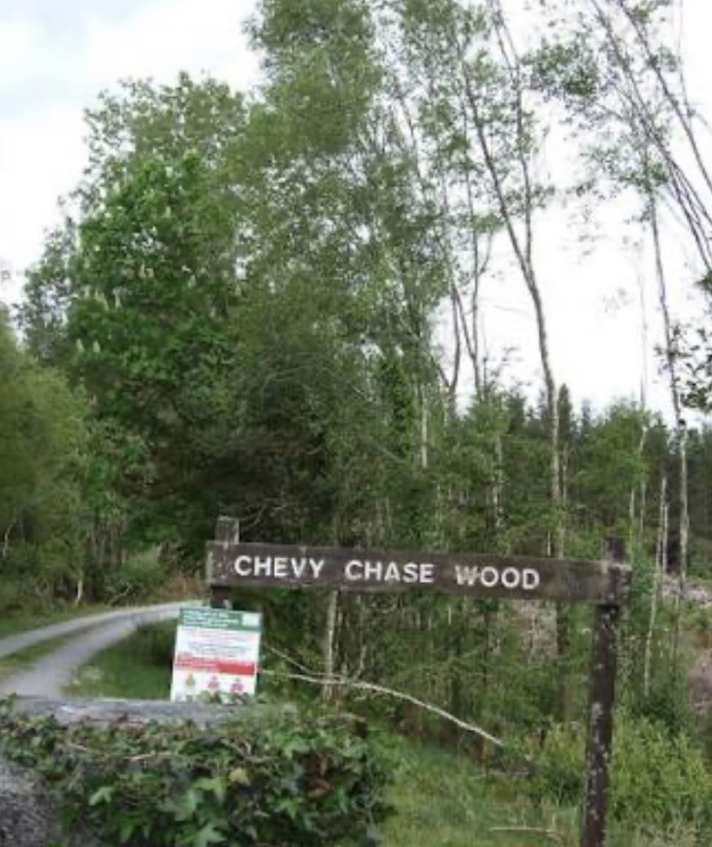 feline_fren's tweet photo. @ChevyChaseToGo  hi do you know there is a woods in rural Ireland named after you https://t.co/fJanxEyCkM