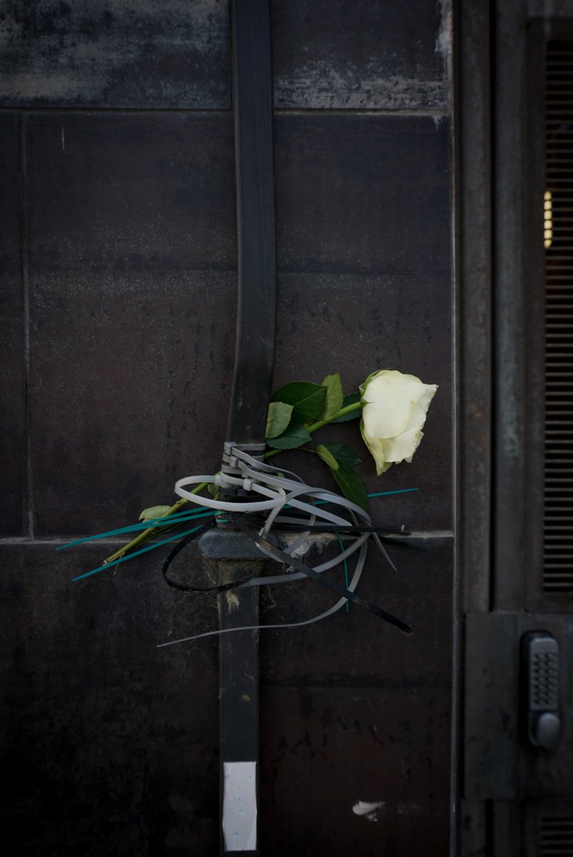 Aaronsidewhite's tweet photo. "No matter where I roam
I will come back to my English rose
For no bonds can ever tempt me from she"

English Rose by The Jam

#gallery365in2026SundayMusic @Gallery365photo https://t.co/KM49JcPdzx