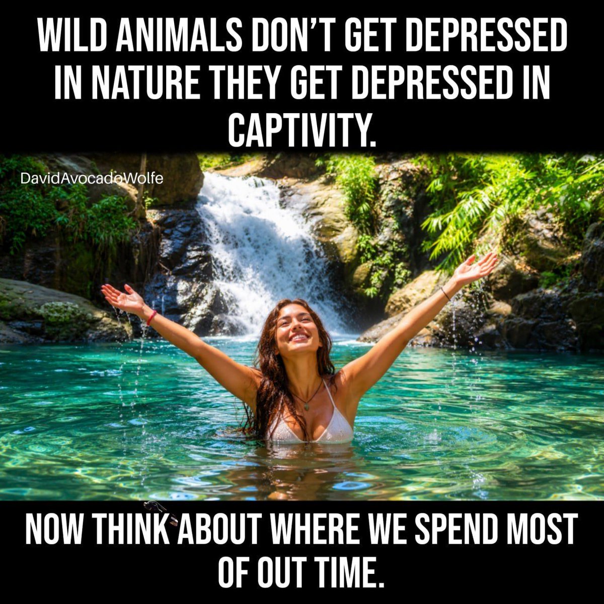 DavidWolfe's tweet photo. https://t.co/diPNXabPt0