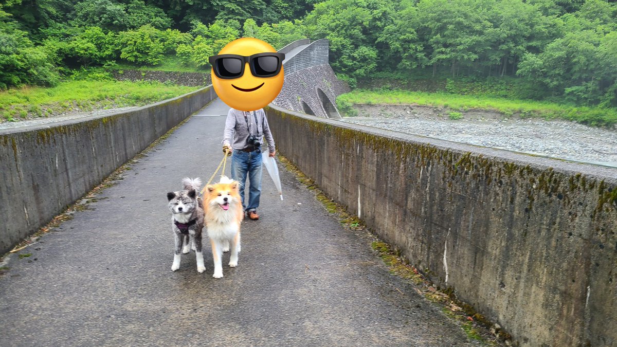 nanadaisuke22's tweet photo. 朝んぽは砂防ダムの道。 https://t.co/o9cvaYSAAY