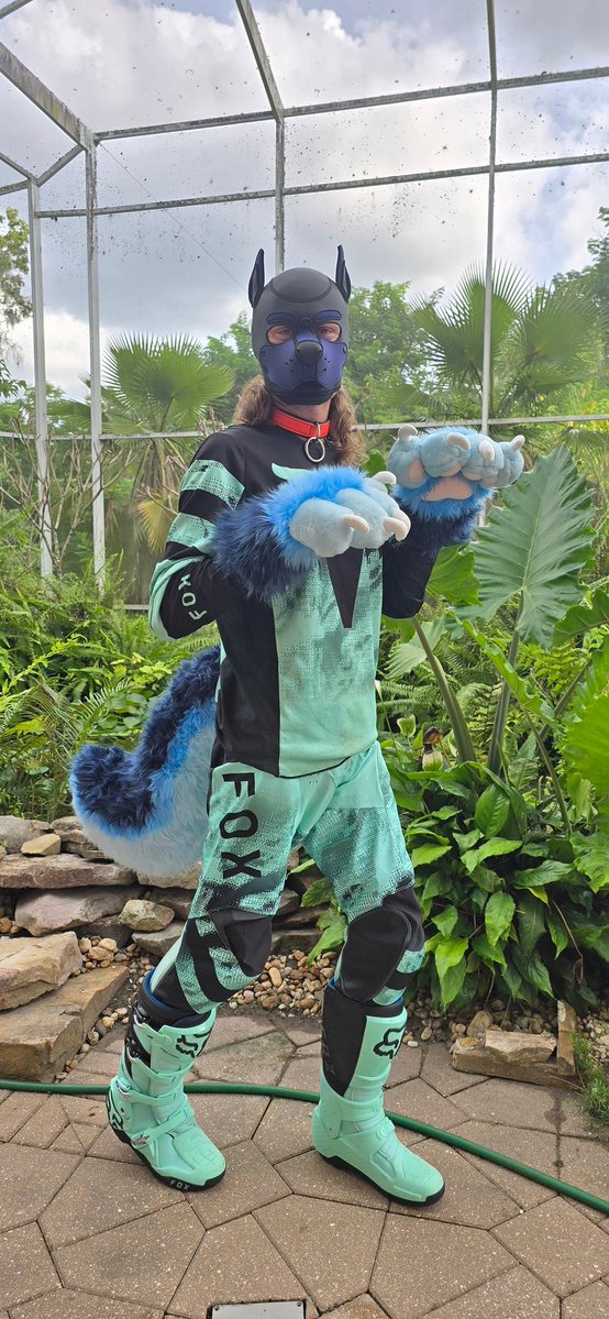 MotoAces's tweet photo. This puppy now has paws! (And a tail) Huge thanks to @Badmoonsuits ! https://t.co/ntUeBjzazq