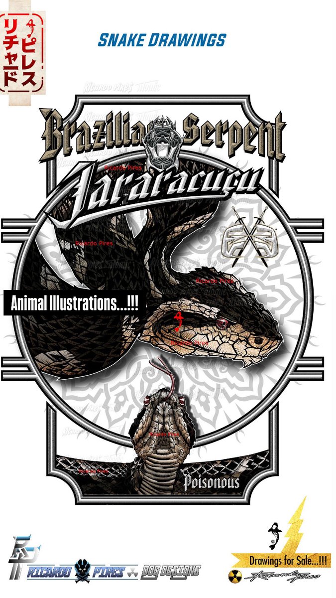 Atomiczone's tweet photo. Fight Martial Arts Design,  Logo Creator… Snake and Fish Illustrations….
by @ricardoatomic 
Drawings dos $ALE…!!!      

#snake #aquarium #mma #fish #bite #wildlife #natural #savage #logo #tattoo #fighter #dragon #logocreator #pridefc #ufc https://t.co/3W82z42sdO