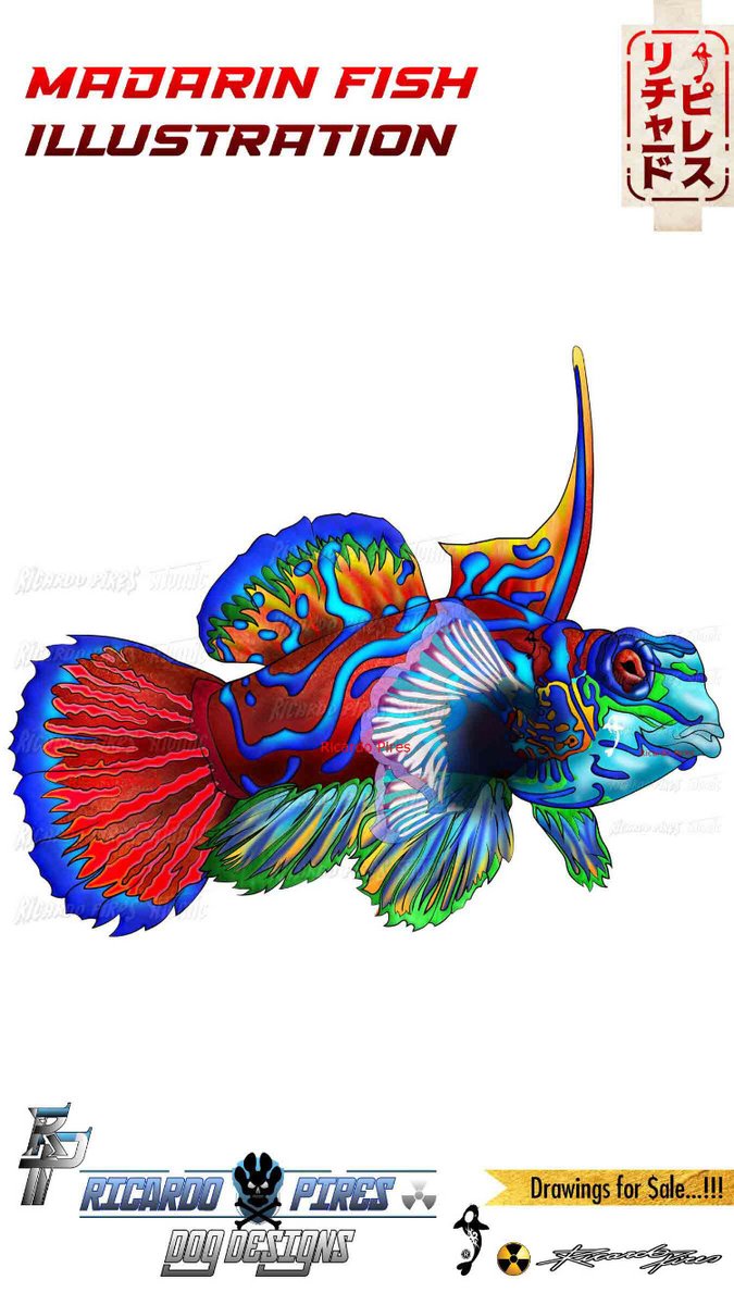 Atomiczone's tweet photo. Fight Martial Arts Design,  Logo Creator… Snake and Fish Illustrations….
by @ricardoatomic 
Drawings dos $ALE…!!!      

#snake #aquarium #mma #fish #bite #wildlife #natural #savage #logo #tattoo #fighter #dragon #logocreator #pridefc #ufc https://t.co/3W82z42sdO