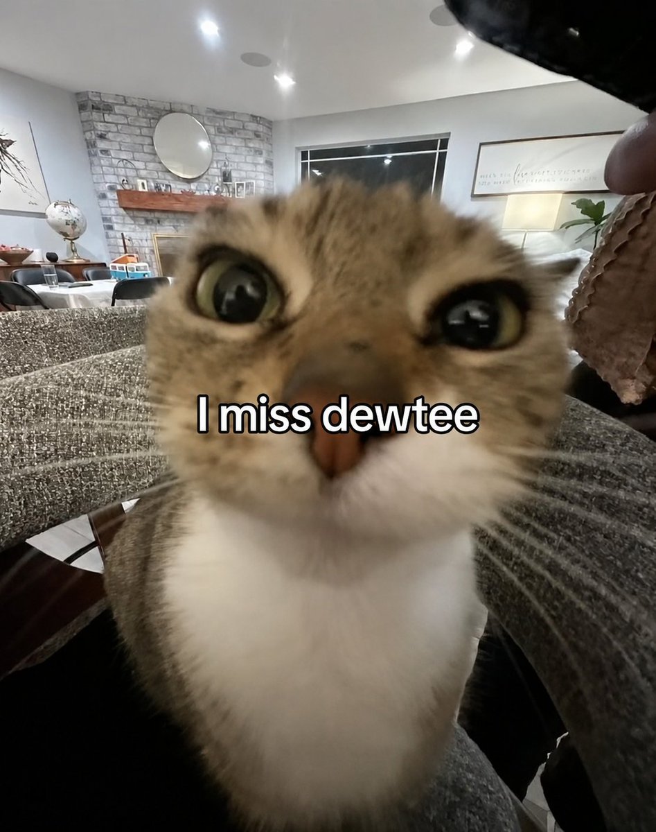 miu5555555555's tweet photo. https://t.co/Y07vwEaBp3