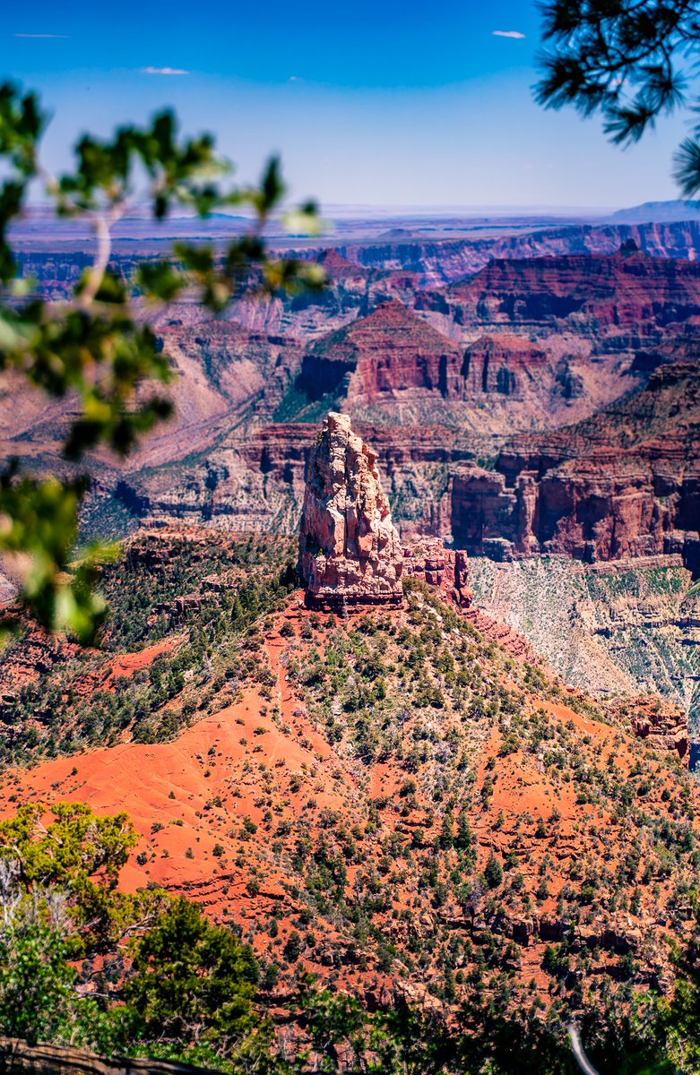 scgstudiocom's tweet photo. Point Imperial: where the Grand Canyon stretches beyond the horizon. 🏜️⛰️ #PointImperial #GrandCanyon https://t.co/vMrOyflRDx