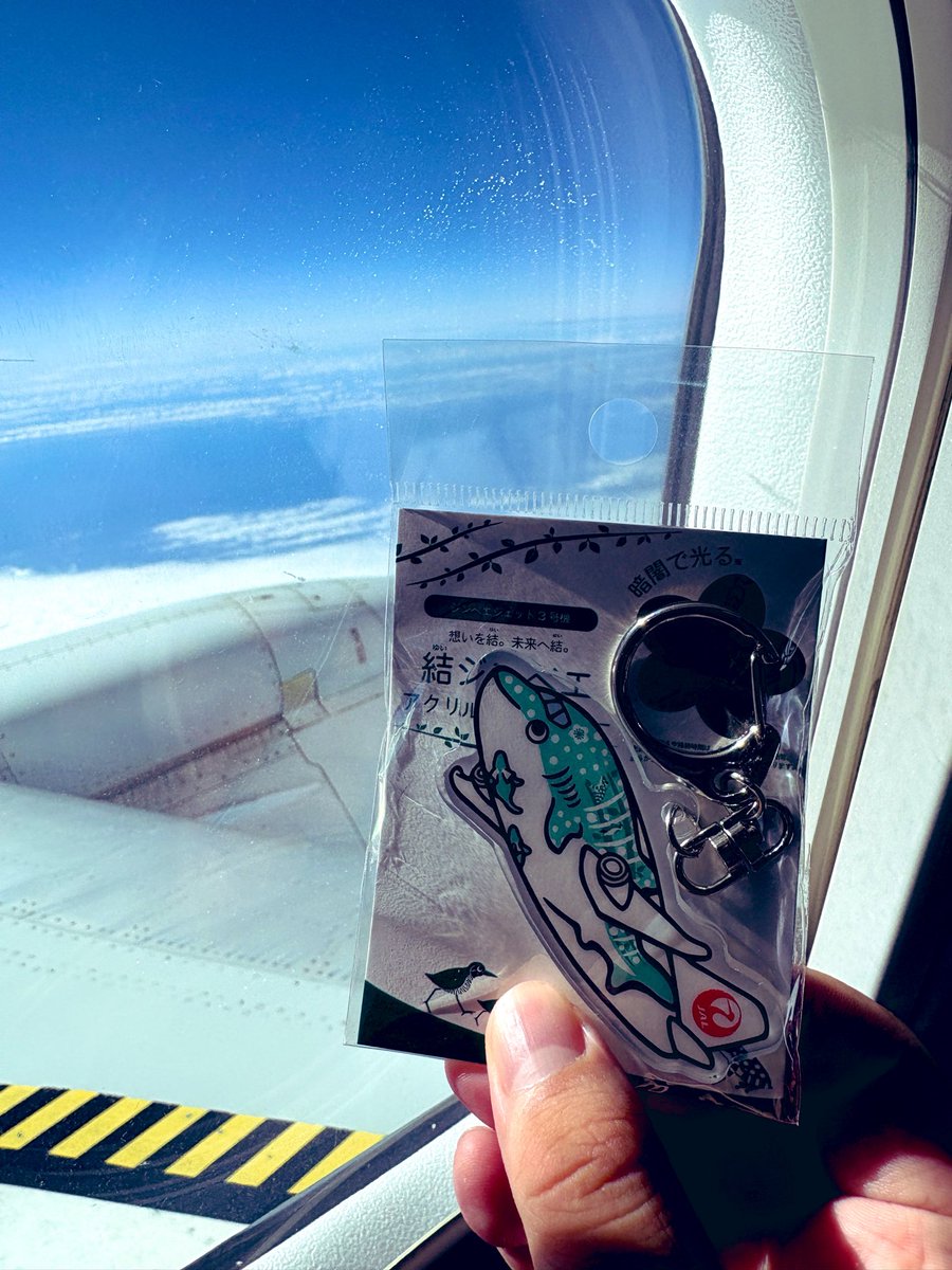 shunabroad's tweet photo. 結ジンベイキーホルダーに傷入って来たので追加購入。
以前もご購入頂きましたよね？とお声がけ頂きました。（JTA3人目）
#jta #jta051 https://t.co/2tae82QBiv
