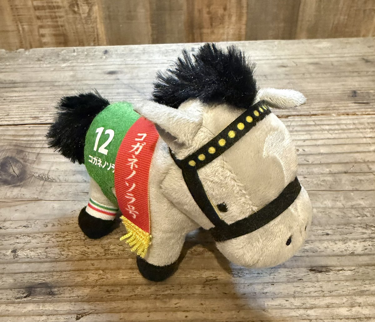 noripotsun's tweet photo. GIしばらくないけど
今日も懲りずに予想を🐴✨

ゴルシ産コガネノソラちゃん
頑張るのだ🔥

東京11R

◎12 コガネノソラ
〇15 ルージュソリテール
▲8 ニシノティアモ
△14 パラディレーヌ
☆10 ホールネス
☆2ウイントワイライト

単勝、馬連、3連複

#府中牝馬S https://t.co/jKvqPs8wlN