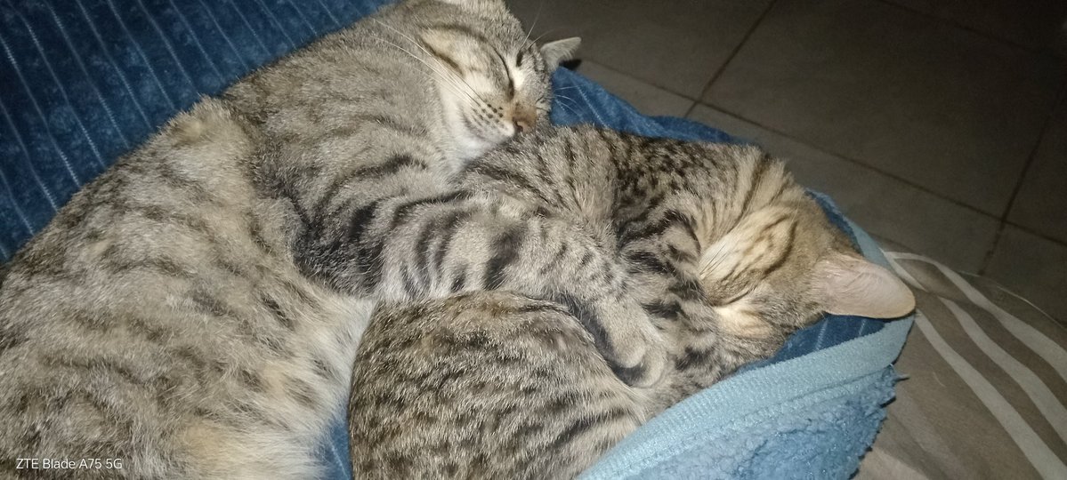 LuniSoledad's tweet photo. @lum4ll0fr3 Por acá 2/4 🤭 https://t.co/7qFdp84HBS
