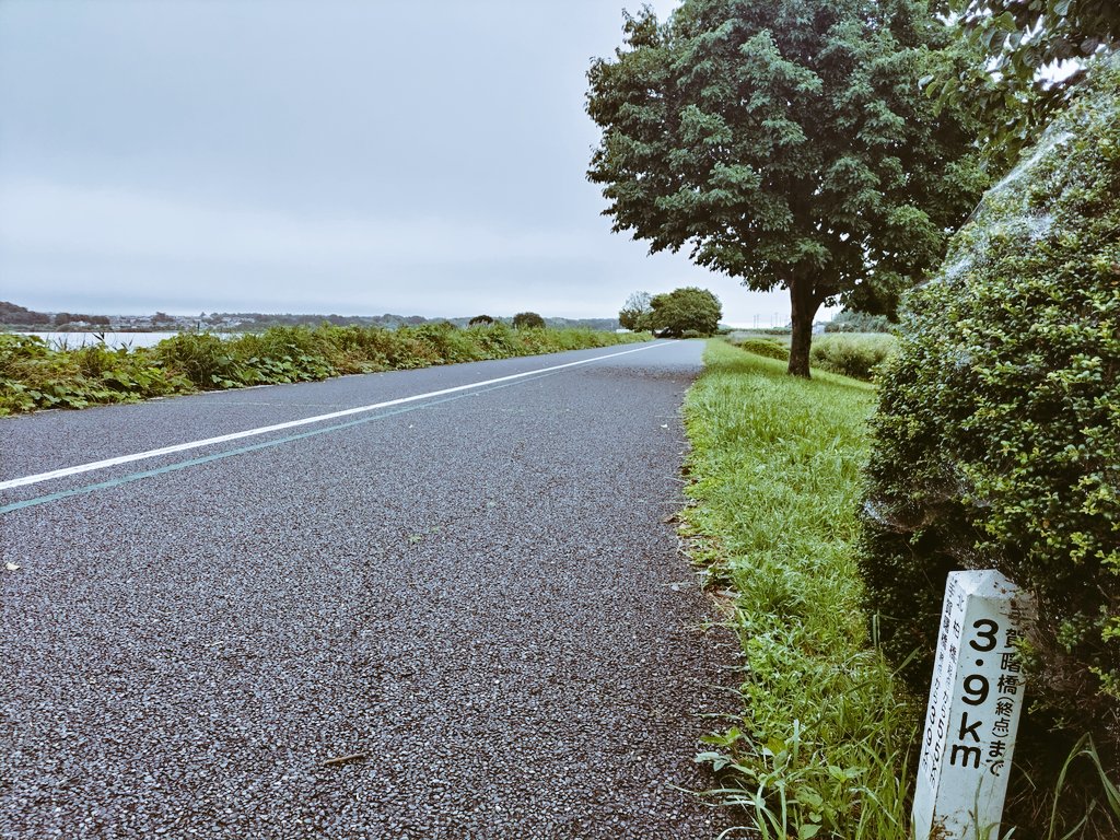 Kusanob's tweet photo. いつものウォーキングコースですれ違う、オシャレ自転車乗りのガチムチオーバオール兄さんが、今日はついにオーバオールを脱いでたわ！

案外タプタプっとしたお腹しててアガったわ〜お腹思い出しながら、あと約4km楽しく歩けそう😄 https://t.co/SZGA04IdT7
