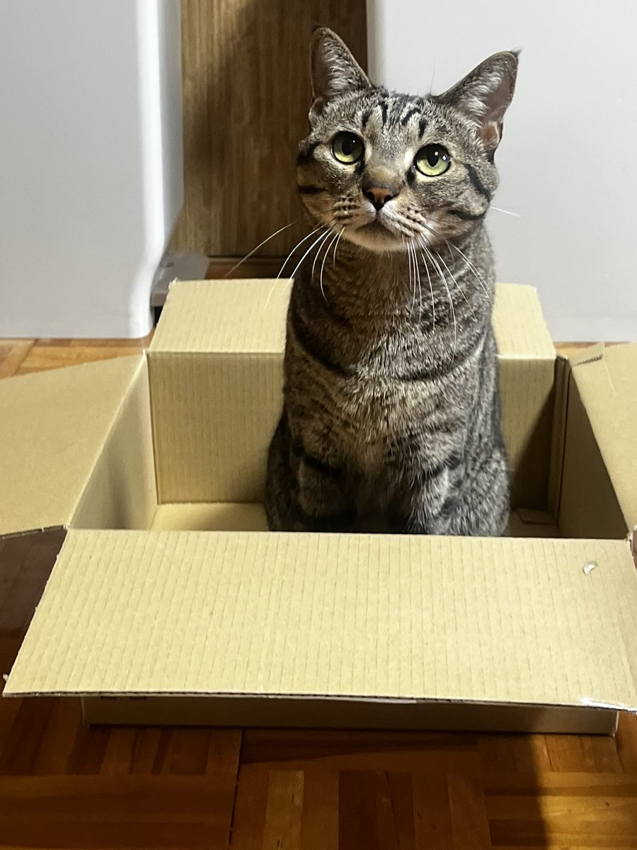 arippiii's tweet photo. おれの📦 https://t.co/oOgjZqwUL4