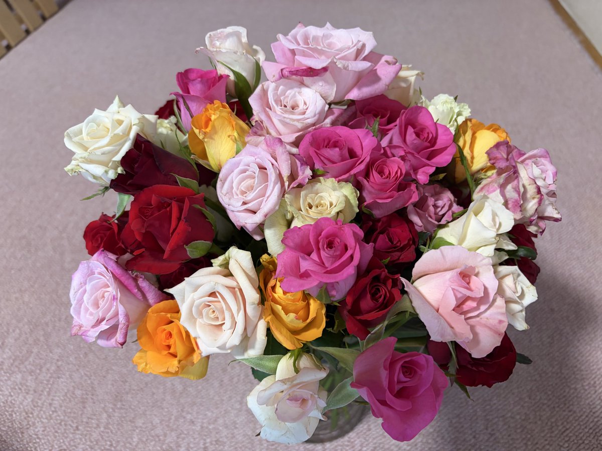 F4phantom_'s tweet photo. #花巻温泉バラ園 
誕生日前後に見頃になるから､いつも歳の数だけ購入🌹🎂
王道の赤いバラも好きだけど､黄色いバラが何より好きです

久々の再会に販売のおばちゃんと話が弾む🤭
雨降らなくて良かったなぁ
#バラ #11ぴきのねこ https://t.co/HXhjmjWXsj