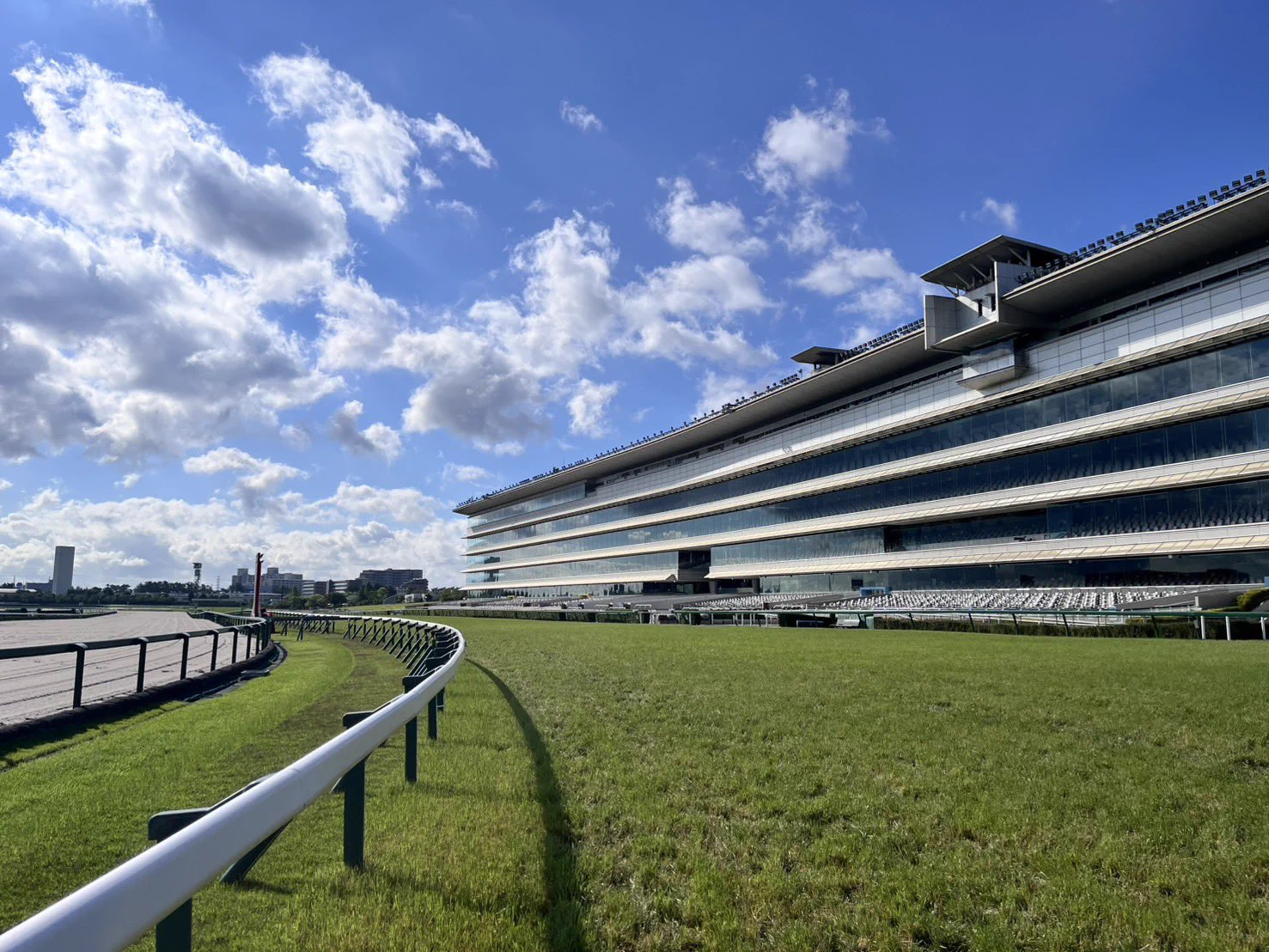 阪神競馬場馬場
