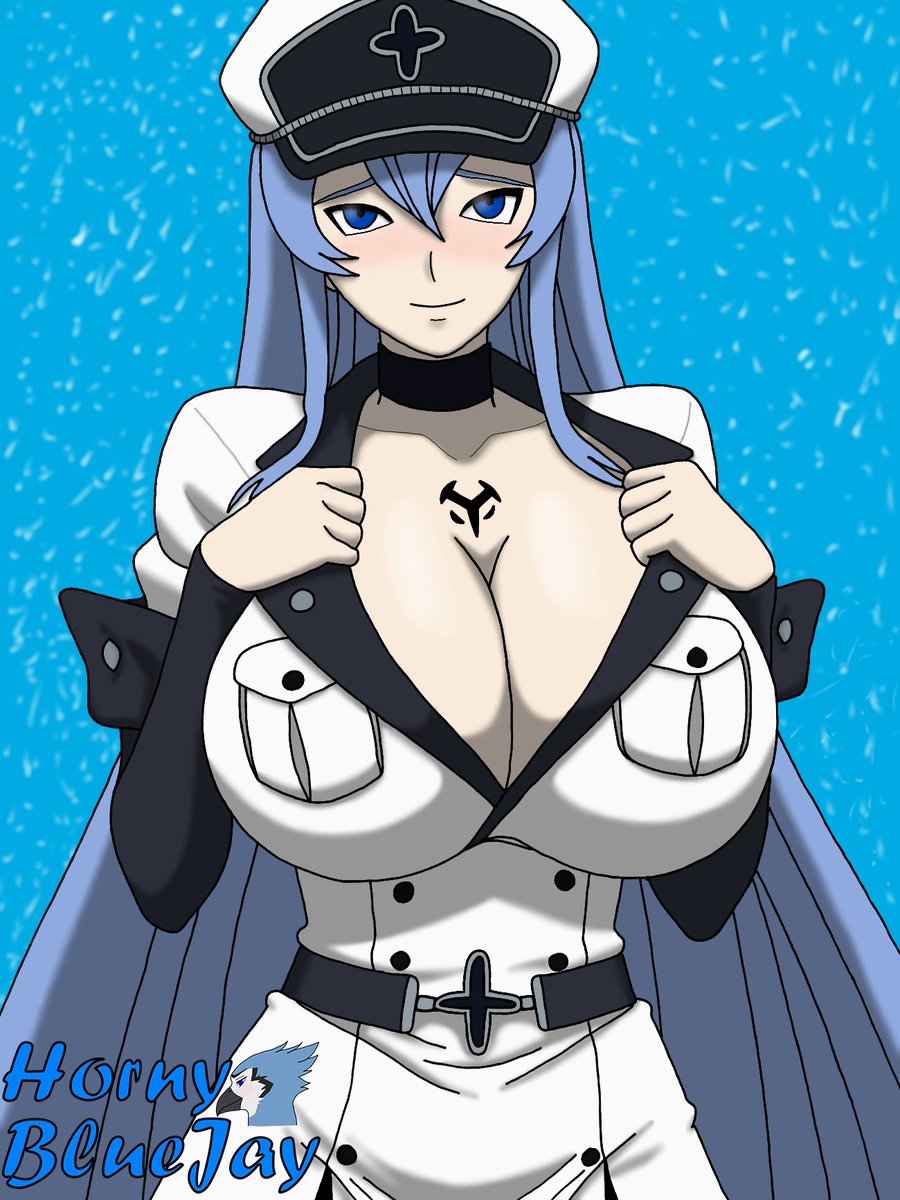 nonexistent546's tweet photo. Esdeath, The Ice Queen. https://t.co/hnUhKigdzw