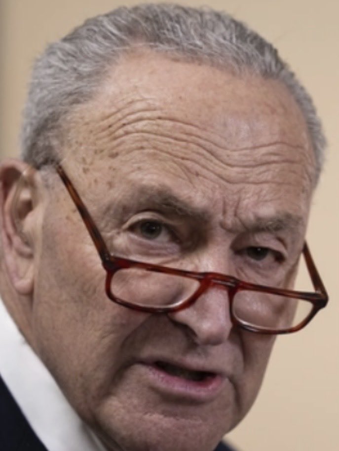 commons96055467's tweet photo. This is the face of an AIPAC Jew who belongs in the Israel Knesset, and not in the US Senate. https://t.co/yMPIDaFwiB