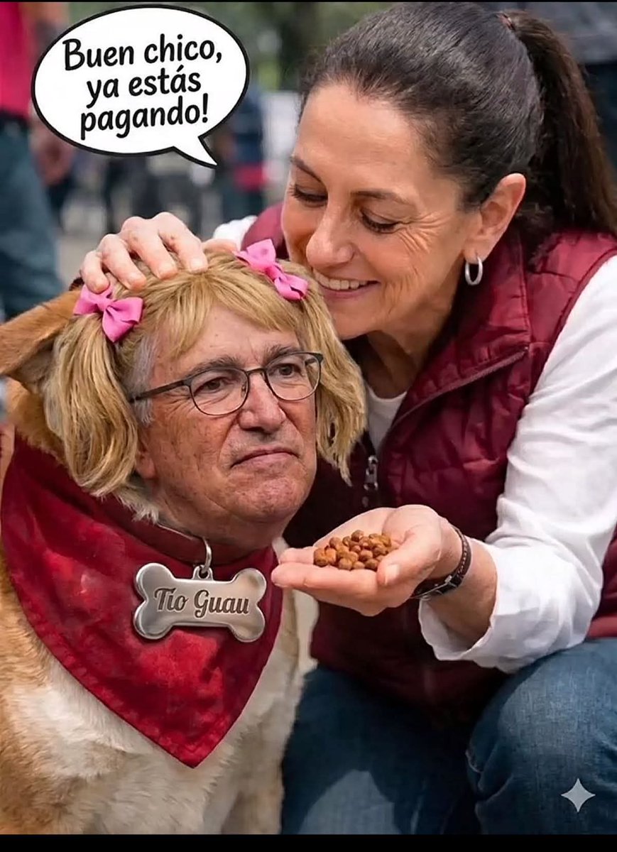 juliusAcademic's tweet photo. @RicardoBSalinas Y recuerda  #PerritaDeDonaldTrump portarte bien con tu ama #ClaudiaPresidentaDeMéxico https://t.co/tiANzCsH7Q