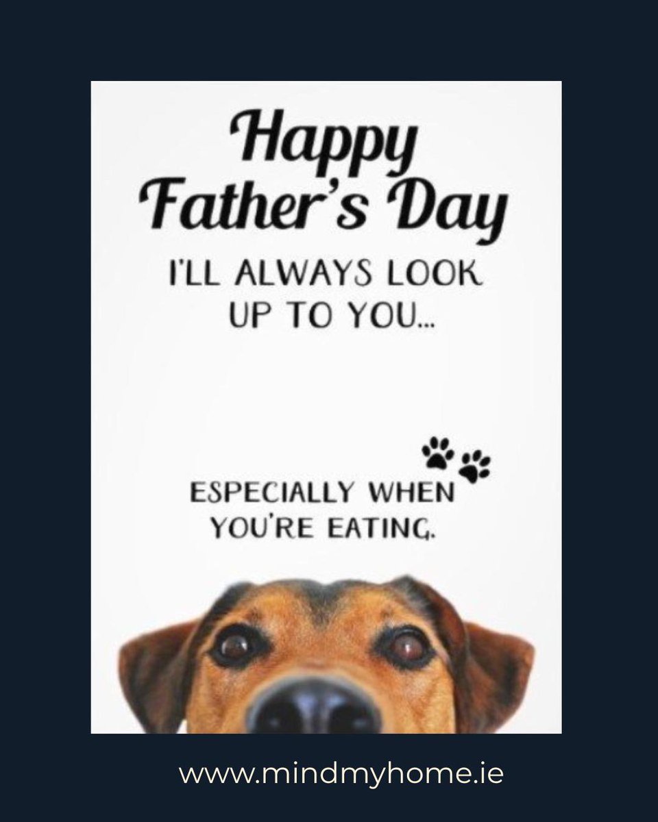 MindMyHomeIE's tweet photo. Happy Father’s Day to the Purrfect Dad 🧑 When your pets tell you that you are Pawsitively the best Dad ever! #FathersDay #BestDadEver #BestDad #HappyFathersDay #MindMyHome https://t.co/P1ibF8nLPS