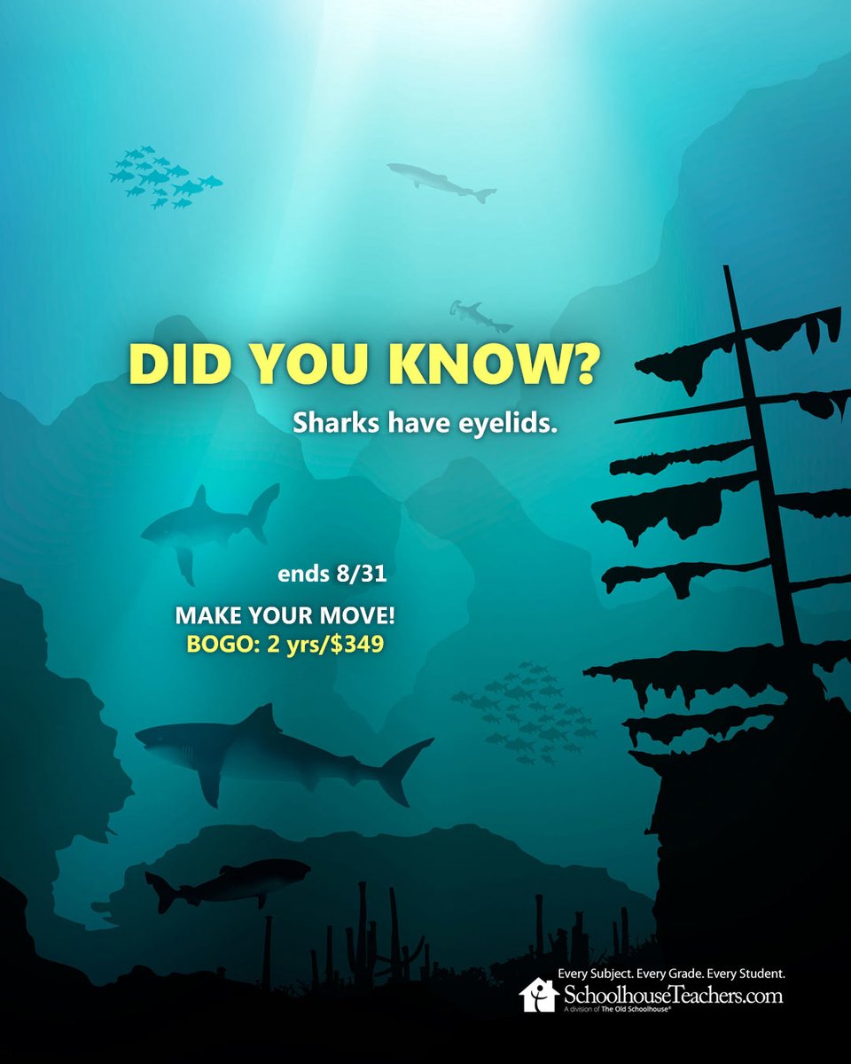 TOSMag's tweet photo. 🦈 Did you know sharks have eyelids?
Curiosity leads to discovery. Give your family access to hundreds of courses with one membership.
⏰ Ends 8/31
 BOGO: 2 Years for $349 https://t.co/0UKrUTvEjy https://t.co/xGAHIkJS3A