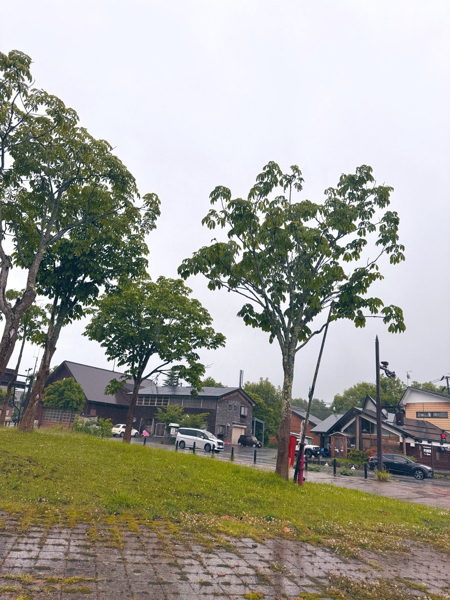 kitashiokankou's tweet photo. #裏磐梯情報
6月21日　日曜日　8:45
天気は雨　気温は16℃

久しぶりにまとまった雨が降っています。
時々雷もなり、今日は一日雨の予報です。

磐梯山も見えません。
気温も低く、風も強いため、山に入ると考えている人は、勇気ある撤退も検討下さい。

路面が滑りやすいので、運転にはご注意ください。

#北塩原村 #磐梯山 #桧原湖
