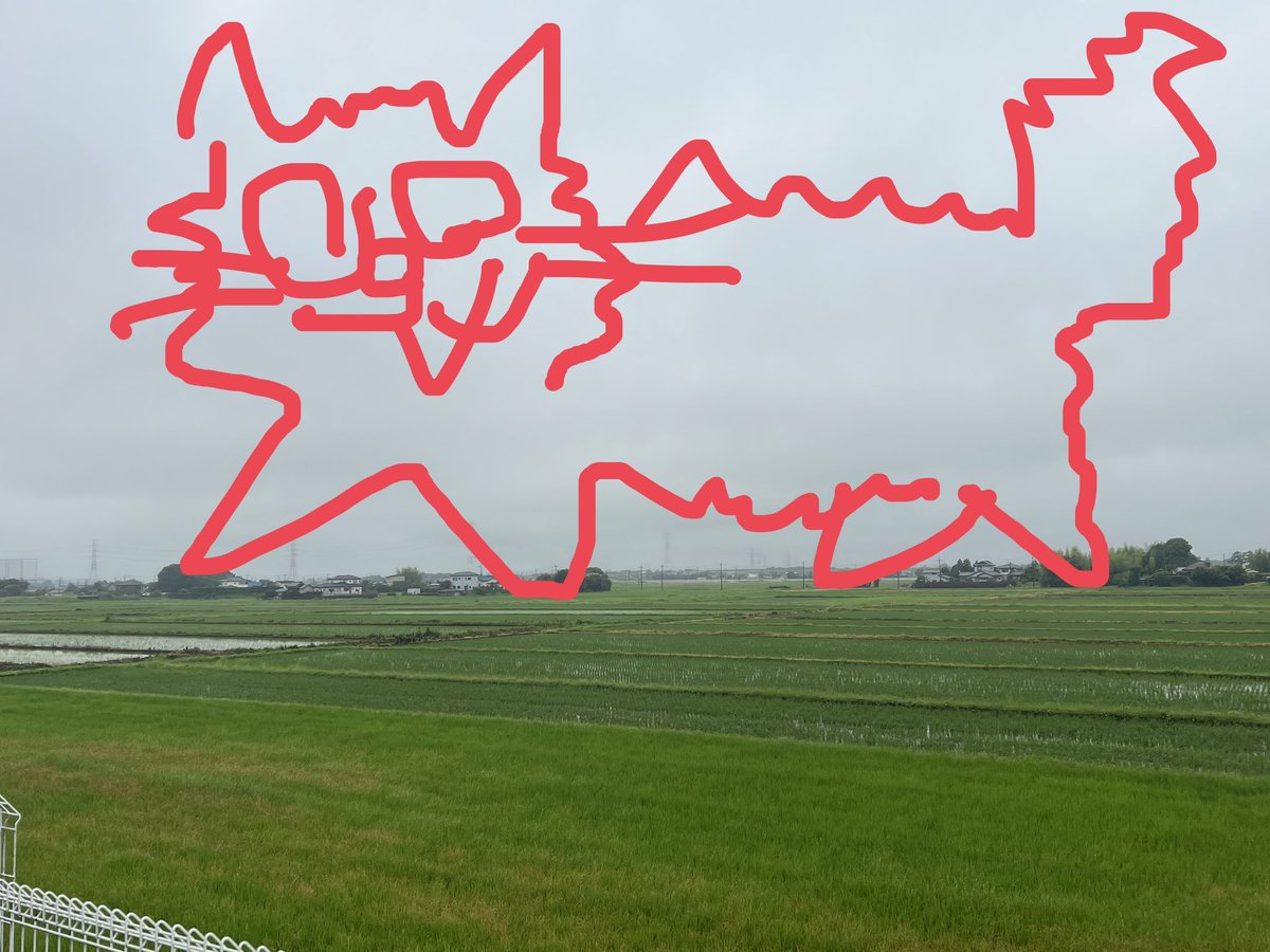 atsumo33's tweet photo. 久々にビルが生えてないところにきた。なかなかの空間ですね…目的地まで5キロ地点で奇跡的にコンビニあったから待機中…安定の2時間前行動🫡おざいます https://t.co/gMxgNKHvor