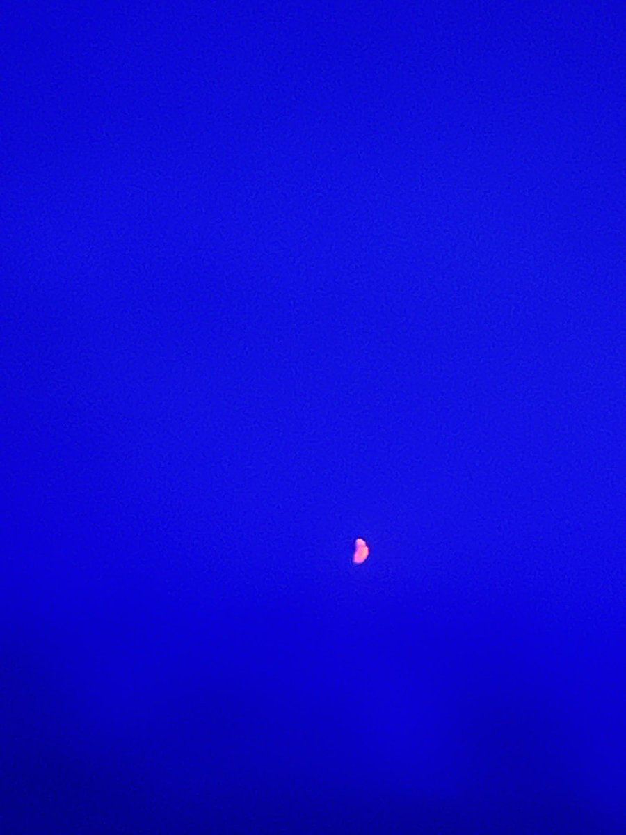 underscoreelexi's tweet photo. bro why is the moon red?
Ganondorfs minions are gonna rise from the dead. I can’t deal with ts atm https://t.co/Q0KkSpiMuF