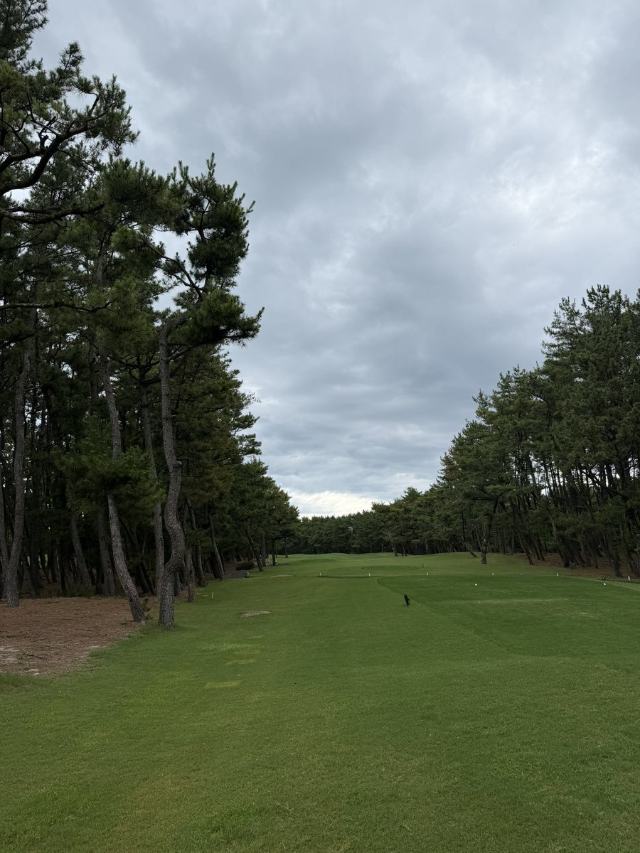 chipshot1967's tweet photo. 連チャンのトムワトソンゴルフコース https://t.co/0un1Vois3p