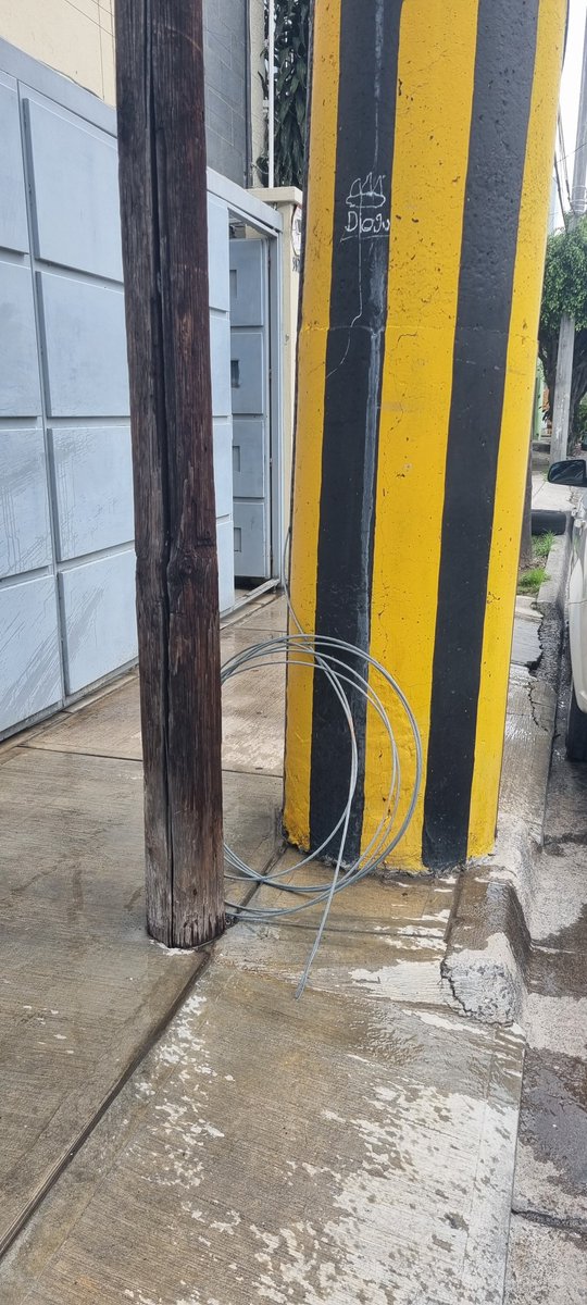 Alexushi1's tweet photo. Buenas tardes 👋, favor de atender a retirar cables de acero reventados, en calle Isla Guaitecas esq. Isla Cies, col. Villa Guerrero, 44987 CP mpo. Guadalajara, Jalisco. También ahí mismo, hay una palmera que ya alcanza los cables de alta tension, gracias. 
@CFE_Contigo https://t.co/jmsWpvQfzr