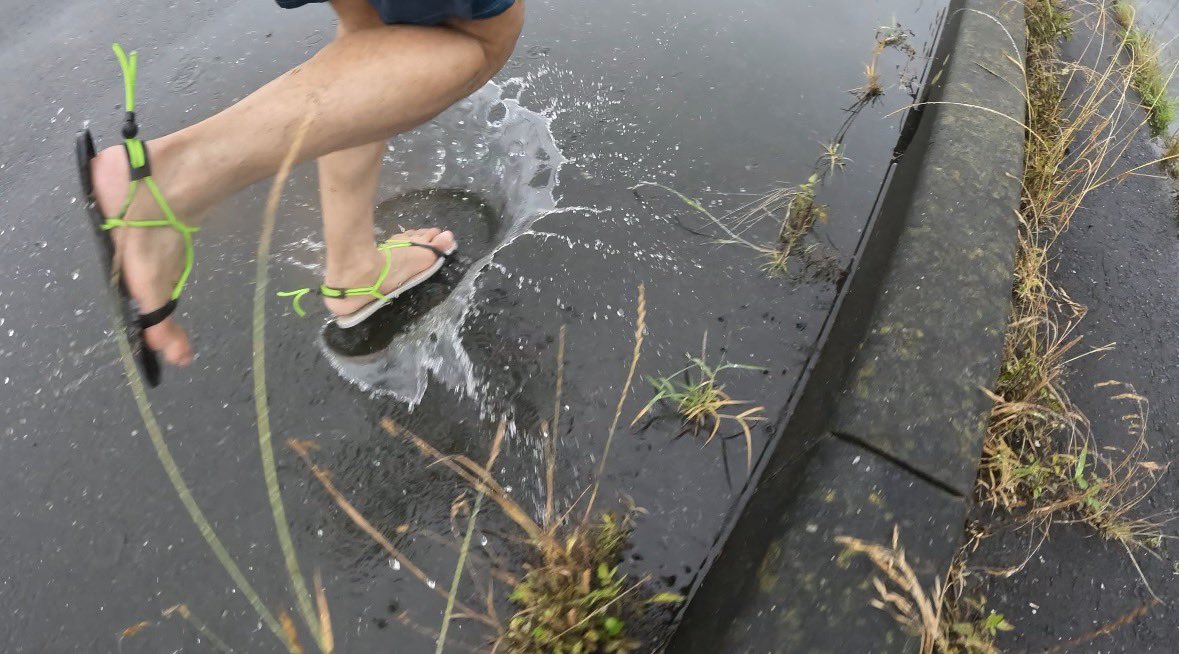 hashirundesu11's tweet photo. 休日ワラーチ朝RUN🩴
走り出したら雨止んでしまい消化不良w
水量不足🗯️
俺はシャワーランがしたいんだ!!
#孤走
#同時ラン
#CHAMSHOP
#CHAMTOES https://t.co/8Sp1NwBHMr