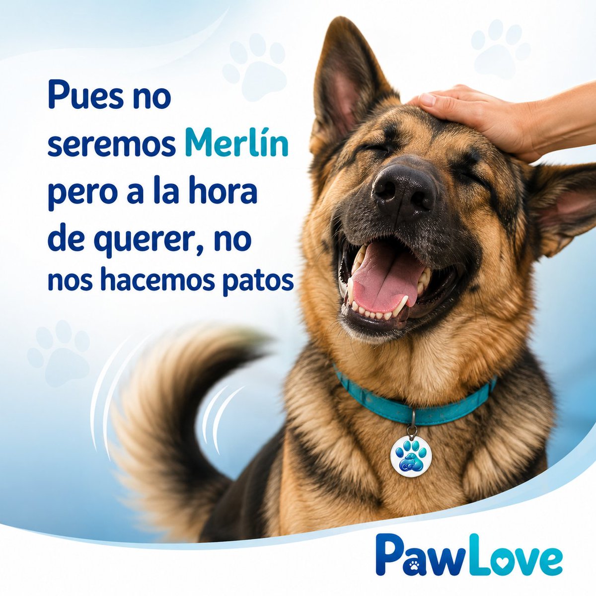 PawLoveMX's tweet photo. La fama de algunos es momentánea. Nuestro amor y lealtad queda marcada para siempre. Por ellos y para ellos es #PawLove. https://t.co/6Wjlre8Pqe